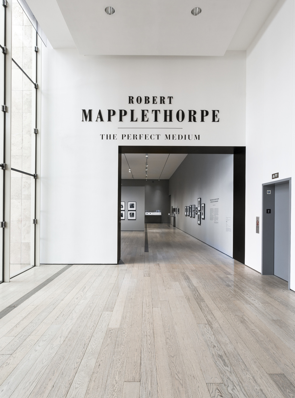 Title wall for Robert Mapplethorpe: The Perfect Medium, LACMA, 2016, photo © Museum Associates/LACMA